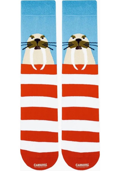 6'lı Deniz ve Buzul Hayvanları Desenli Çorap Seti fiyatları