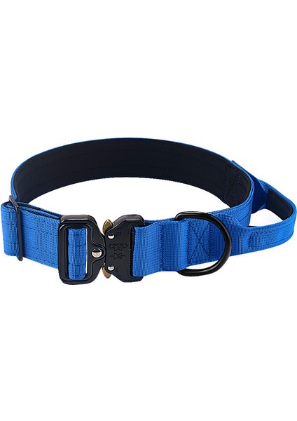 Köpek Gözlük Toka Pet Yaka (Yurt Dışından)