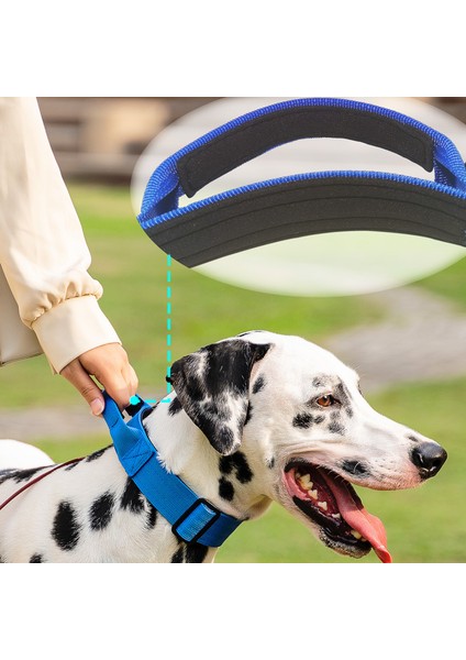 Köpek Gözlük Toka Pet Yaka (Yurt Dışından) fiyatları