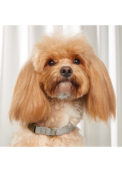 Küçük ve Orta Boy Köpekler Için Köpek Buzlu Pet Yaka (Yurt Dışından)
