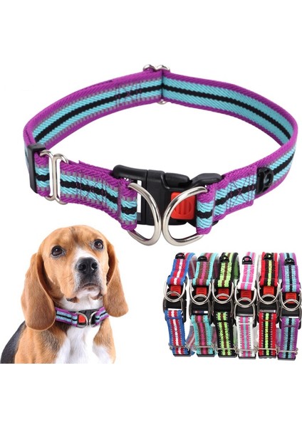 Pet Renk Eşleştirme Yansıtıcı Toka Çift D Toka Köpek Tasması (Yurt Dışından) fiyatları