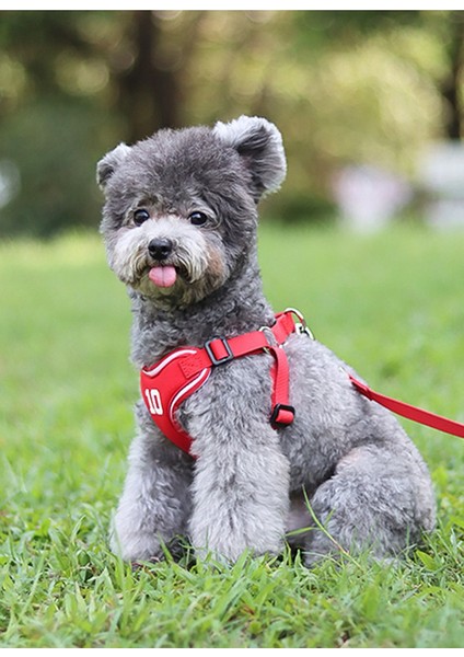 Kırılmayı Önlemek Için Küçük ve Orta Boy Köpekler Için Köpek Göğüs Kemeri - Kırmızı (Yurt Dışından)