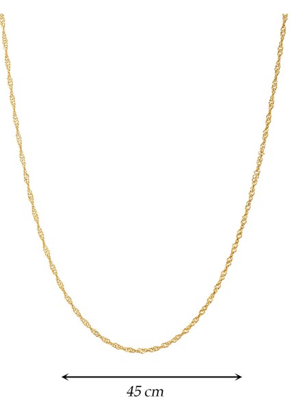 Kadın 14 Ayar Altın Singapur Zincir modelleri