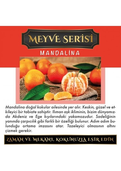Ölümsüz Aşk Meyve Serisi Mandalina 12 ml Elma Şişe Oto Kokusu Araç Araba Parfümü
