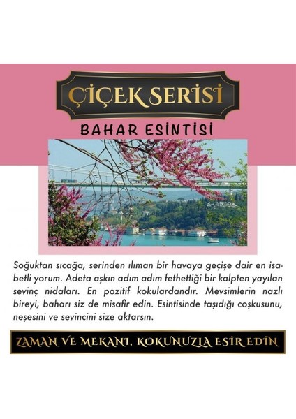 Ölümsüz Aşk Çiçek Serisi Bahar Esintisi 12 ml Elma Şişe Oto Kokusu Araç Araba Parfümü
