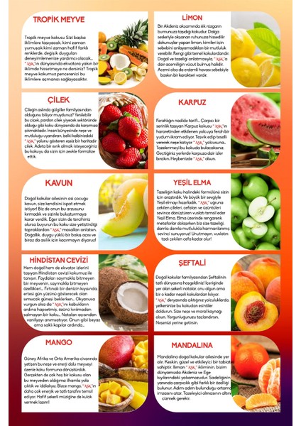 Meczub Mix Serisi Vanilya & Tarçın 5 Adet 12 ml Heybet Şişe Oto Kokusu Araç Araba Parfümü fırsatları