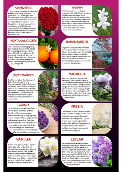 Meczub Çiçek Serisi Magnolia 10 Adet 12 ml Elma Şişe Oto Kokusu Araç Araba Parfümü
