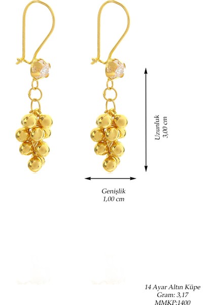Moom Mücevherat Kadın 14 Ayar Altın Kırmızı Askılı Sallantılı Üzüm KÜPE-MMKP1400