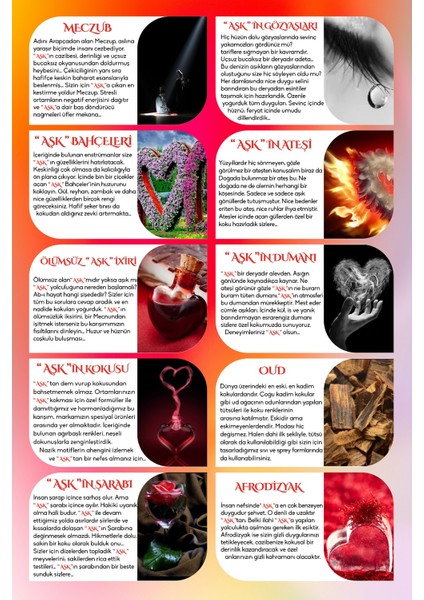 Aşk-I Sermest Şemsi Tebrizi Oto/araç Kokusu Dörtgen ŞIŞE12 Ml, 5 Adet indirimleri