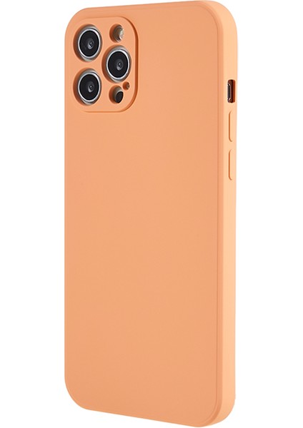 iPhone 12 Pro Telefon Kılıfı (Yurt Dışından)