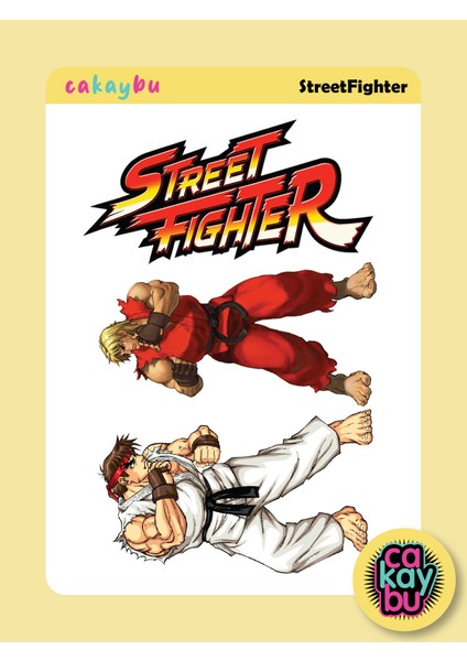 Street Fighter Sticker