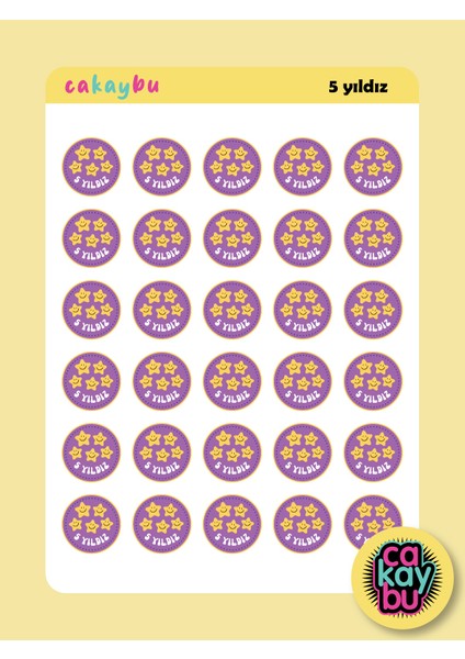 Öğretmen 5 Yıldız Motivasyon Sticker