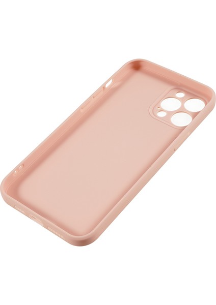 iPhone 12 Pro Max Telefon Kılıfı (Yurt Dışından)