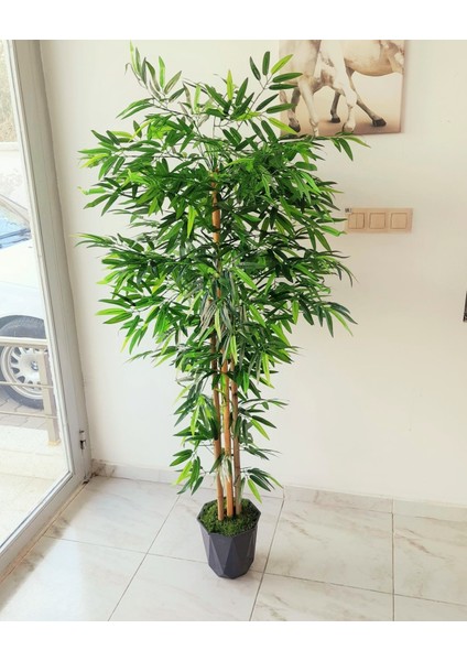 Yapay Bambu Ağacı 1.50 mt Boy 6 Adet Orjinal Gövdeli Bambu Ağaç