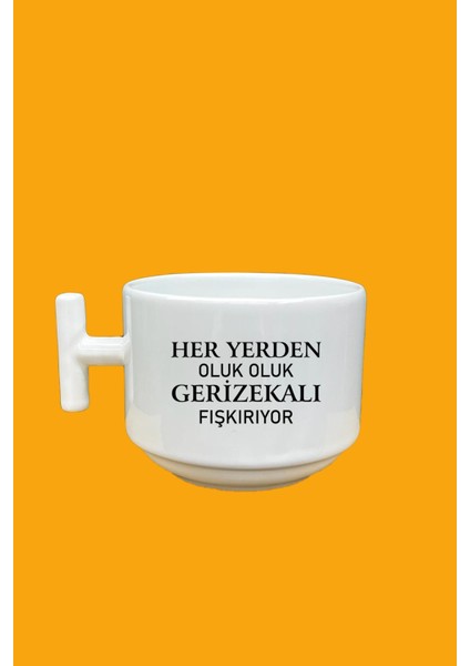 Her Yerden Oluk Oluk Ger*zekalı Fışkırıyor Baskılı Mood T Kupa