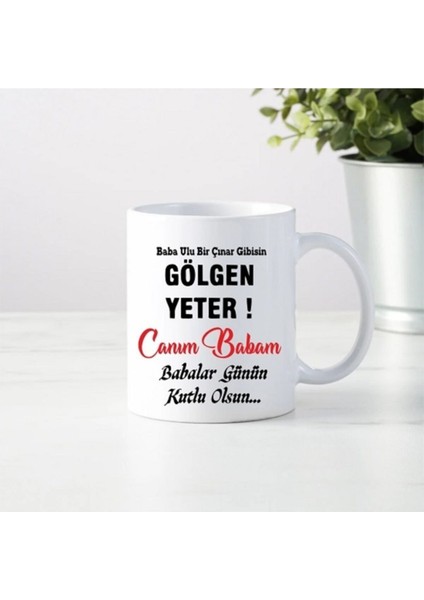 Ulu Bir Çınar Gibisin Gölgen Yeter Baba Yazılı Kupa Bardak
