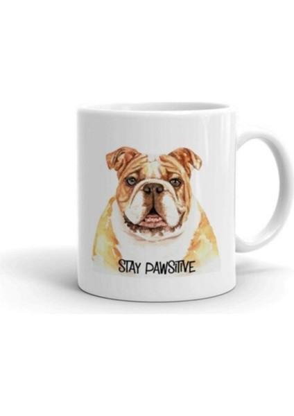 Stay Pawsitive Baskılı Kupa Bardak