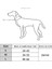 Köpek Boyun Tasması (Yurt Dışından) 2