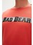 23.02.12.021-C109 Reflect Bear Erkek Sweatshirt 2