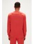 23.02.12.021-C109 Reflect Bear Erkek Sweatshirt 3