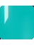 Shield Gel Polish Kalıcı Oje Shark In The Pool 365 15ml 4