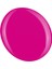 Shield Gel Polish Kalıcı Oje Poison Kiss 564 15ml 3