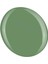 Shield Gel Polish Kalıcı Oje Verdant 571 15ml 3
