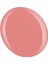 Shield Gel Polish Kalıcı Oje Demure 160 15ml 3