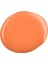 Shield Gel Polish Kalıcı Oje Flame Flame 431 15ml 3