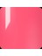 Shield Gel Polish Kalıcı Oje Recharged Blush 496 15ml 4