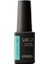 Shield Gel Polish Kalıcı Oje Pathos 501 15ml 1