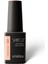 Shield Gel Polish Kalıcı Oje Vivacity 529 15ml 1