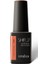 Shield Gel Polish Kalıcı Oje Ginger Hint 541 15ml 1