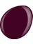 Shield Gel Polish Kalıcı Oje Beat Of Beet 547 15ml 3