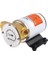 SR09710 12 Volt Kendinden Emişli Güverte Yıkama Pompası 30 Lt/dk 1
