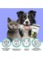 Vet’s Health Multi Vitamin Paste Kedi ve Köpekler Için Vitamin Desteği Pasta 100g 2