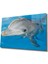 Eliza Home Yunus Balığı Cam Tablo Dolphin 1