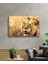 Eliza Home Aslan Cam Tablo 2