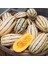 Delicata Kışlık Kabak Tohumu Winter Squash 1