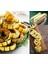 Delicata Kışlık Kabak Tohumu Winter Squash 2