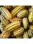Delicata Kışlık Kabak Tohumu Winter Squash 3