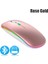 Bluetooth 5.0 Kablosuz Fare Dizüstü Bilgisayar Pc Macbook Oyun Faresi 2.4 Ghz USB Şarj Edilebilir Rgb Işık Güç Göstergesi (Yurt Dışından) 1