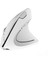 Wireless Vertical Mouse, 800/1000/1200/1600 Adjustable Dpı High Sensitivity Ergonomic USB Mouse For Computers And Laptops White (Yurt Dışından) 1