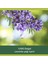 Aroma Sensations So Relaxed Aromatik Banyo ve Duş Jeli 750 ml 4