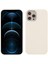 iPhone 12 Pro Max Telefon Kılıfı (Yurt Dışından) 1