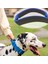 Köpek Gözlük Toka Pet Yaka (Yurt Dışından) 2
