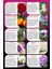 Meczub Mix Serisi Fresia & Magnolia 12 ml Elma Şişe Oto Kokusu Araç Araba Parfümü 5