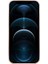 iPhone 12 Pro Max Telefon Kılıfı (Yurt Dışından) 2