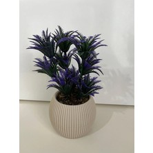 Trendkent Mini 3'lü Set Karma Mini Saksıda Gerçek Yosunlu Yapay Çiçek Aranjman Hediyelik Paket Saksı