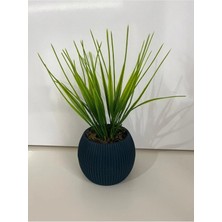 Trendkent Mini 3'lü Set Karma Mini Saksıda Gerçek Yosunlu Yapay Çiçek Aranjman Hediyelik Paket Saksı